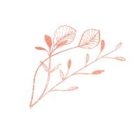 demo-attachment-248-flower-title-6